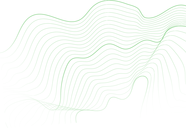 Shape